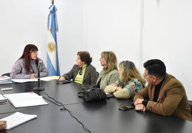 La Comisión de Salud recibió al Consejo Provincial de Bioética y al Órgano de Revisión de Salud Mental