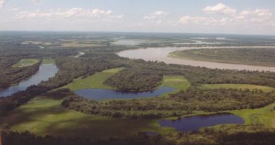 EL DOCUMENTAL QUE TODOS DEBEMOS VER: “SALVEMOS EL HUMEDAL DE RIO NEGRO”