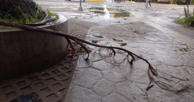 Gran parte del Chaco bajo alerta naranja por tormentas fuertes