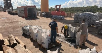 El Puerto de Barranqueras consolida exportación de carbón vegetal con destino a Europa