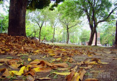 El clima en Chaco: el otoño se siente con fuerza y las mínimas caerán hasta los 10 grados este lunes