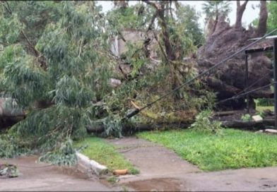 Complicada situacion dejo el temporal en colonia Benitez