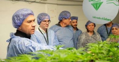 Una empresa chaqueña exportará cannabis sativa 100 % medicinal a Nueva Zelanda
