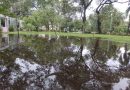 Con tormentas fuertes, así seguirá el tiempo en Resistencia