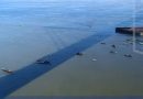 Pescadores se manifiestan en el río Paraná contra la veda extraordinaria