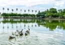 El Complejo Ecológico Municipal de Sáenz Peña, una opción ideal para disfrutar en las vacaciones de invierno