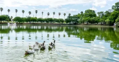 El Complejo Ecológico Municipal de Sáenz Peña, una opción ideal para disfrutar en las vacaciones de invierno