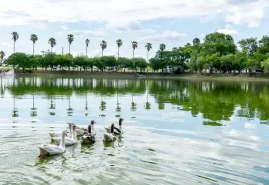 El Complejo Ecológico Municipal de Sáenz Peña, una opción ideal para disfrutar en las vacaciones de invierno