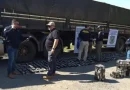 Droga con sellos del Mundial: La Policía de Paraguay secuestró 450 kilos de cocaína