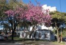 El veranillo de San Juan tardío se quedará por varios días