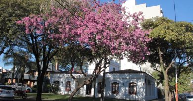 El veranillo de San Juan tardío se quedará por varios días