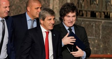¿Cuáles son las principales preocupaciones económicas de los votantes de Javier Milei?