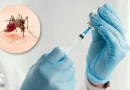 En Forma Gratuita, Salud refuerza la prevención contra el dengue: piden vacunarse antes del verano