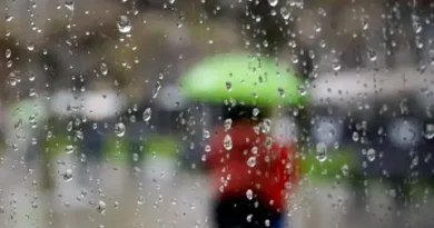 Ranking de las últimas lluvias en Chaco: Cote Lai encabezó la lista con 105 milímetros Ranking de las últimas lluvias en Chaco: Cote Lai encabezó la lista con 105 milímetros