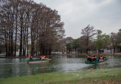 Anuncian nuevas lluvias, con descenso de temperatura a partir del martes Anuncian nuevas lluvias, con descenso de temperatura a partir del martes