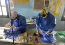 Veterinarios Amigos de El Impenetrable preparan un nuevo operativo solidario Veterinarios Amigos de El Impenetrable preparan un nuevo operativo solidario