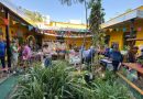 Este sábado, Feria Cultiva en el patio del Cecual