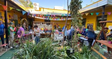 Este sábado, Feria Cultiva en el patio del Cecual