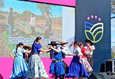 Este domingo, Festival Pre Viaje a beneficio del Grupo Juvenil y parejas del Ballet Zitto Segovia