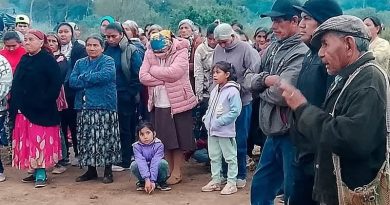 Palabras que resisten al olvido: la urgencia de preservar lenguas originarias y la memoria viva de las comunidades