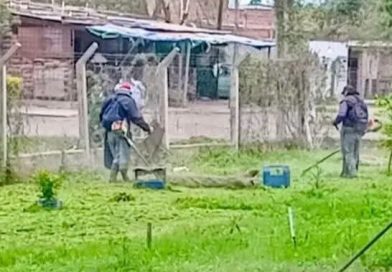 Fontana: Limpieza y Desmalezado en instituciones de la ciudad