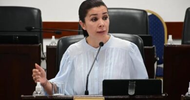 KATIA BLANC Y SU VOTO POR LA SUSPENSIÓN DE LAS PASO: “EXPLIQUÉ POR QUÉ LO HICE Y A DÓNDE QUIERO QUE VAYAN LOS FONDOS”