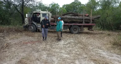 Tres Isletas: Interceptan un camión con cinco toneladas de quebracho colorado