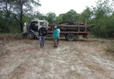 Tres Isletas: Interceptan un camión con cinco toneladas de quebracho colorado