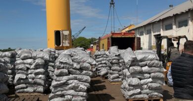 Puerto Barranqueras: se concretó una nueva exportación de carbón vegetal a Estados Unidos