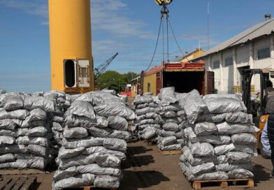 Puerto Barranqueras: se concretó una nueva exportación de carbón vegetal a Estados Unidos